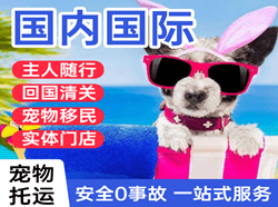 若羌楼兰机场快递国际宠物托运 【国
